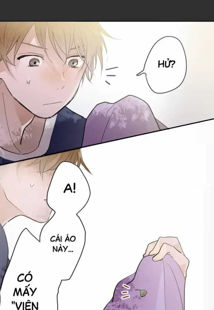 Hoa Cánh Sao - Chương 39 - ảnh 45