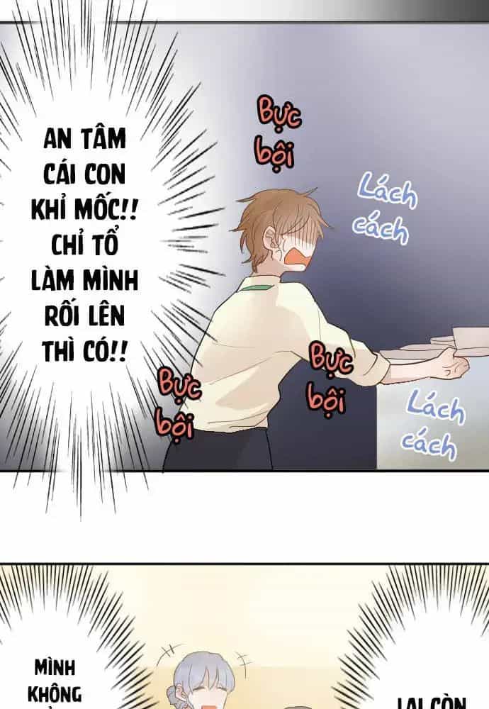 Hoa Cánh Sao - Chương 42 - ảnh 25