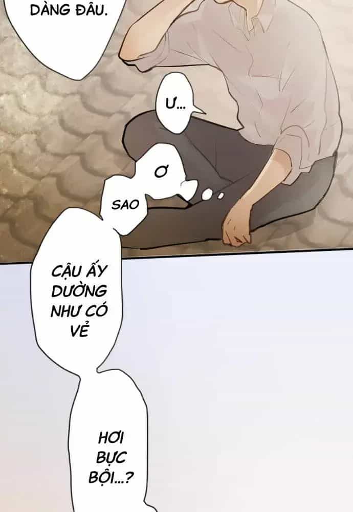 Hoa Cánh Sao - Chương 44 - ảnh 14