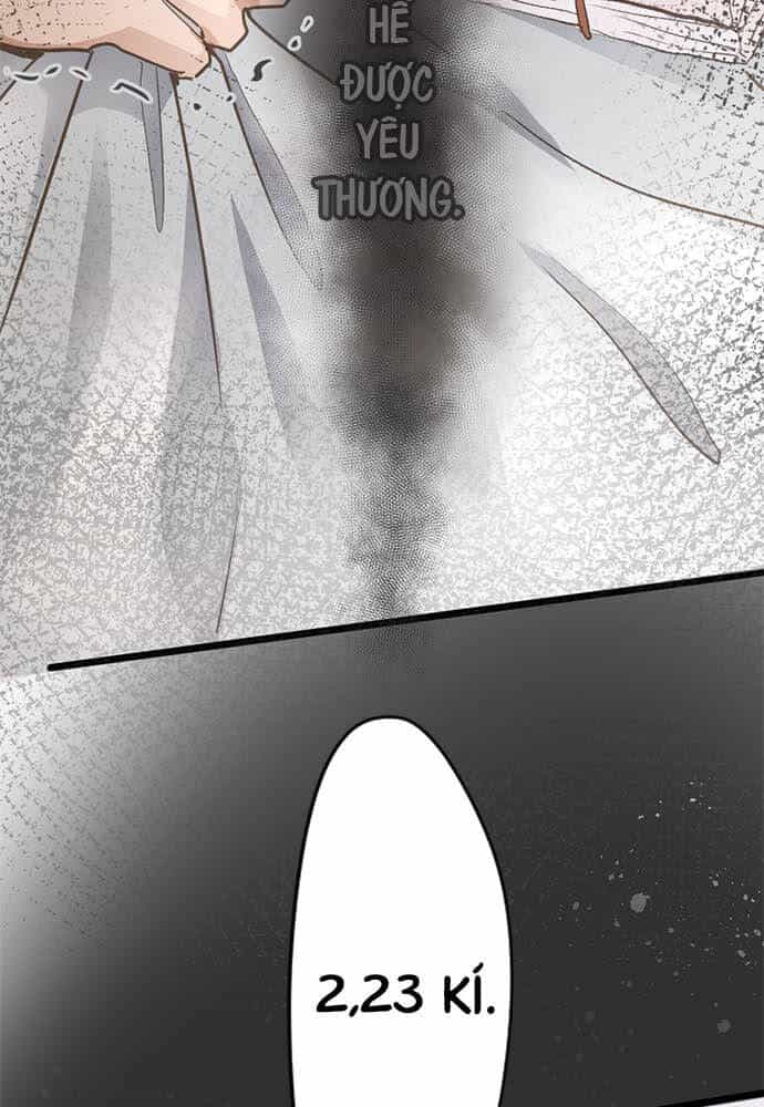 Hoa Cánh Sao - Chương 73 - ảnh 27