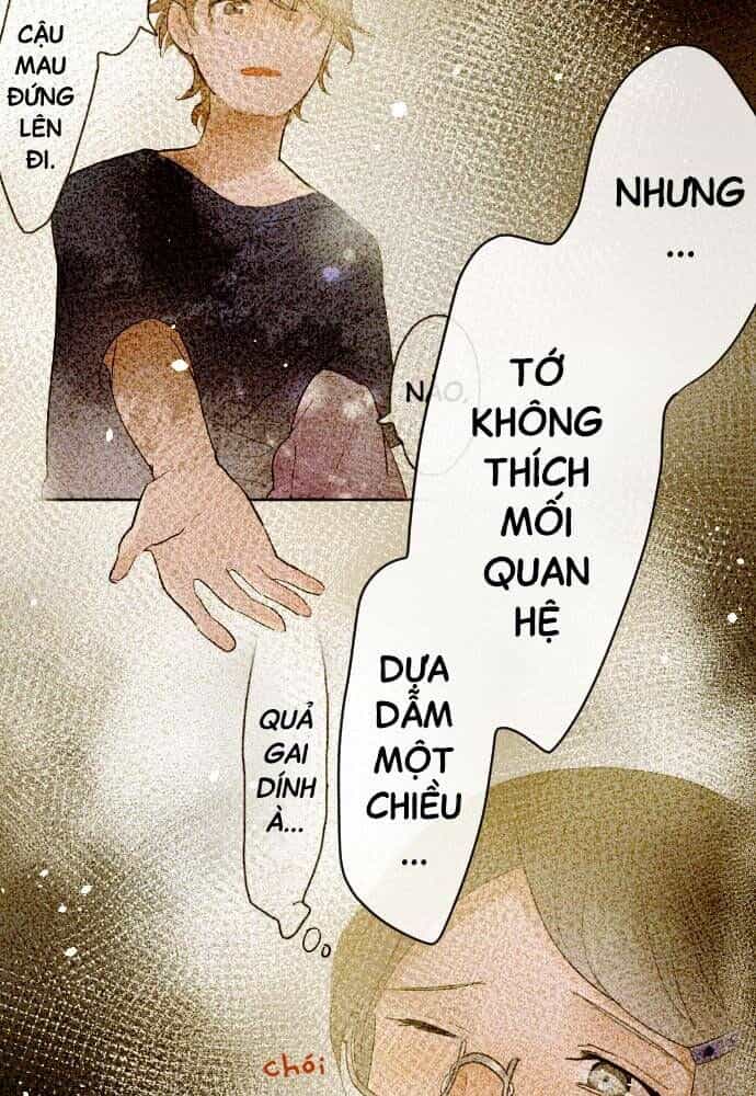 Hoa Cánh Sao - Chương 95 - ảnh 31