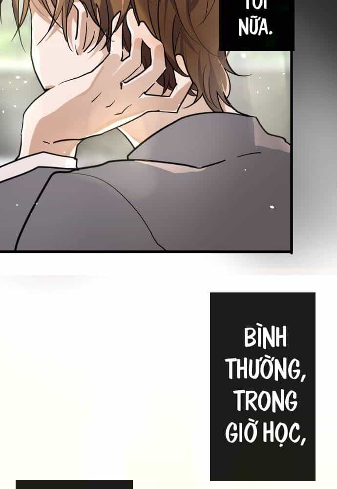 Hoa Cánh Sao - Chương 95 - ảnh 5