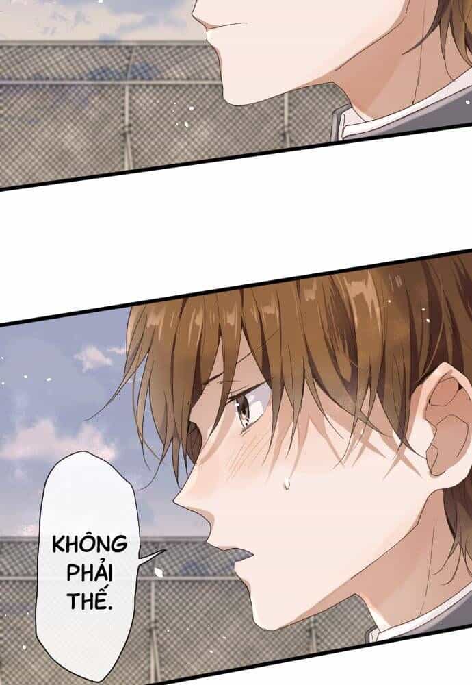 Hoa Cánh Sao - Chương 98 - ảnh 13