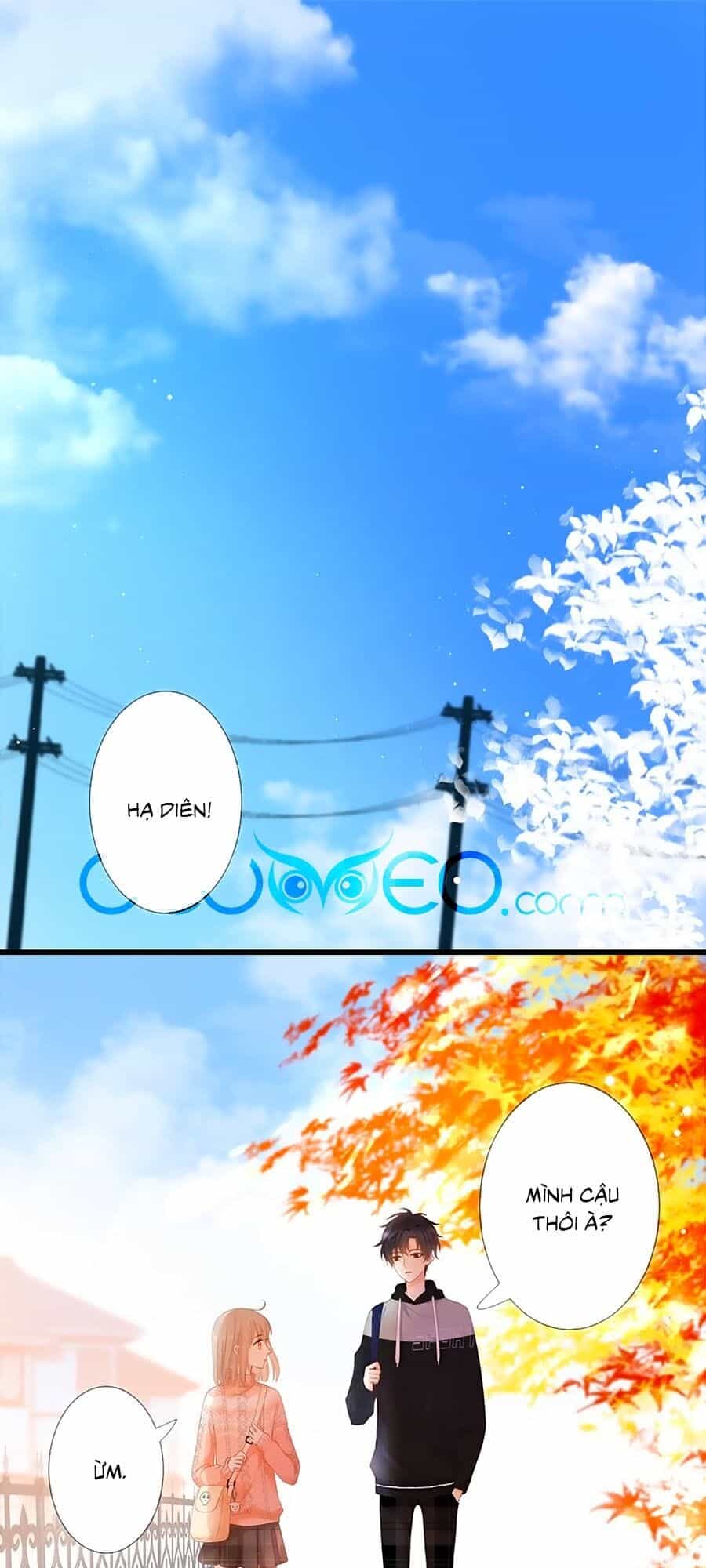 Hoa Chưa Nở Rộ - Chương 29 - ảnh 1