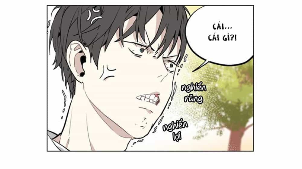 Hoa Đạo Sĩ - Chương 26 - ảnh 11