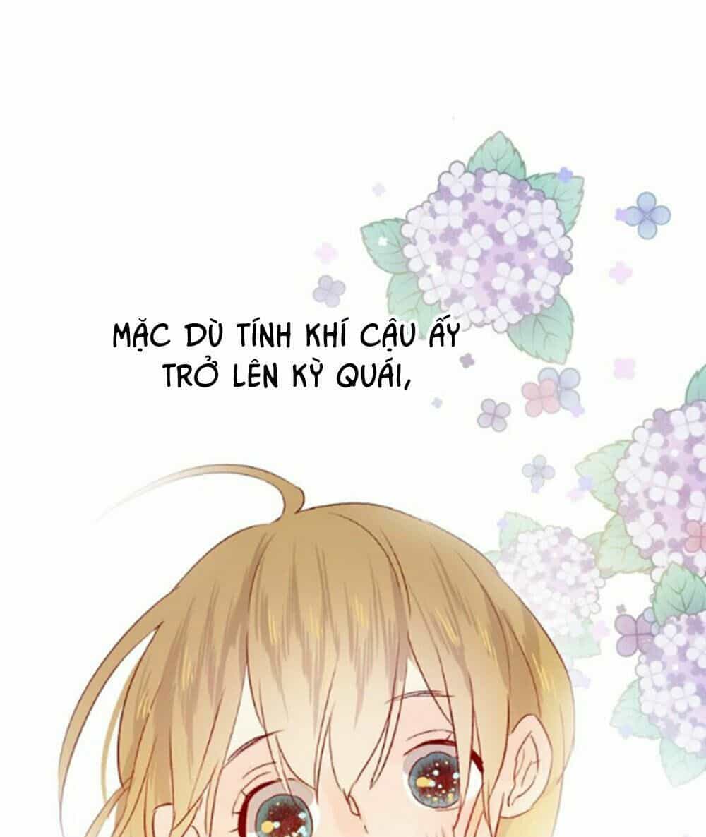 Hoa Dữ Ẩn Nặc Chi Ô - Chương 15.5 - ảnh 34