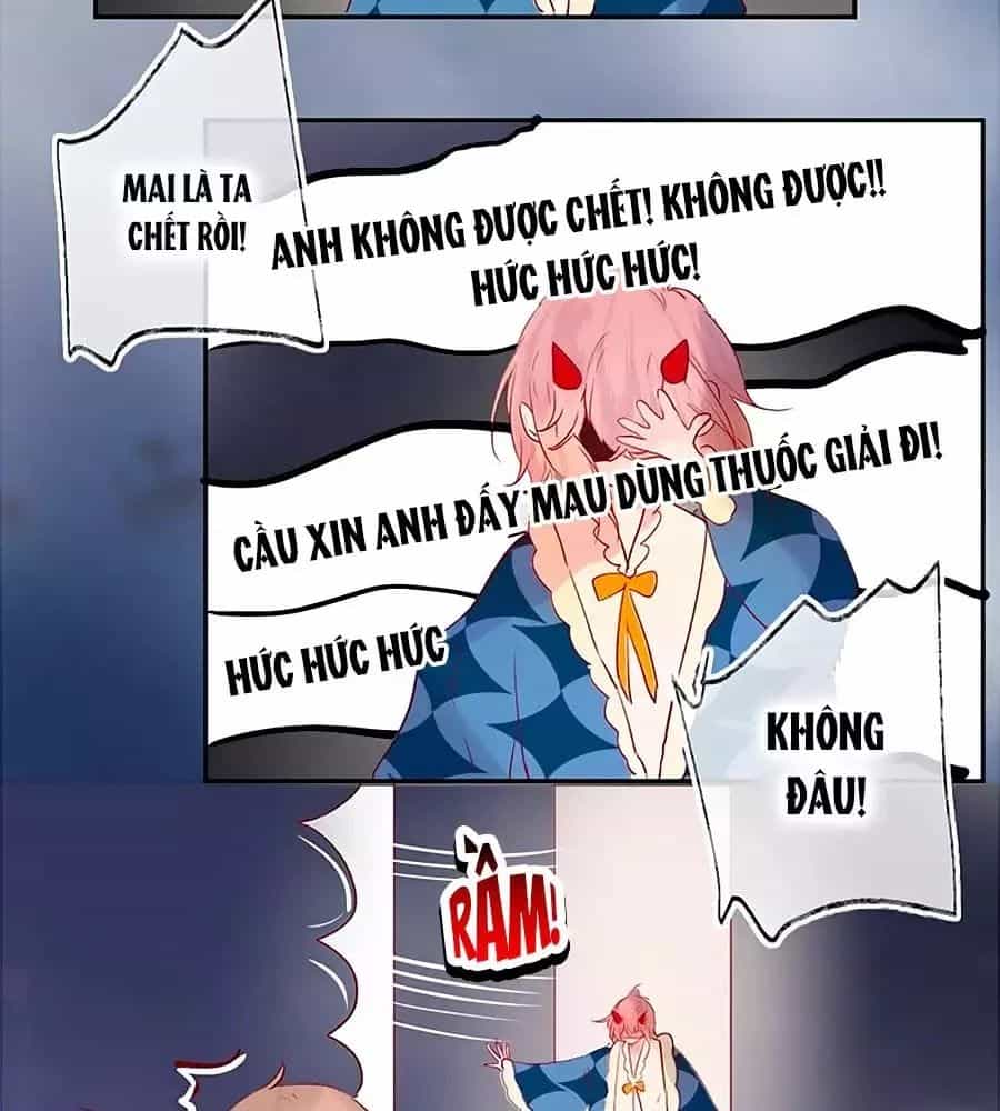 Hoa Dữ Ẩn Nặc Chi Ô - Chương 64 - ảnh 40