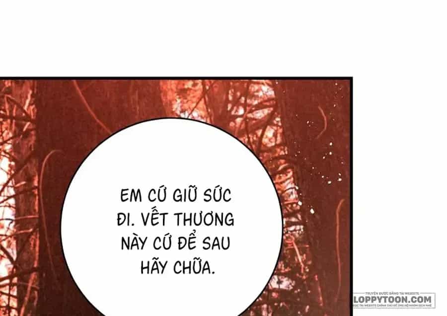 Hoa Giương Kiếm - Chương 46 - ảnh 76