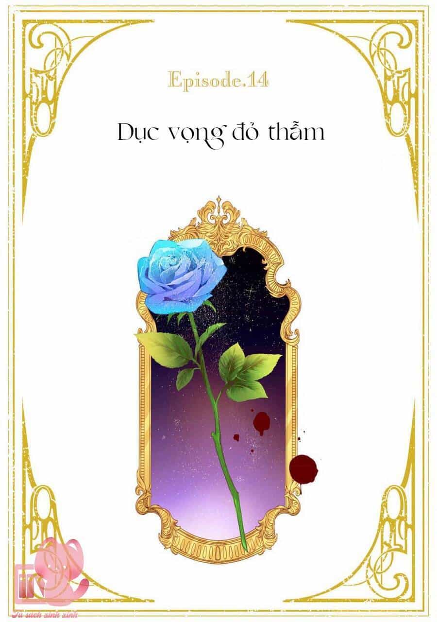 Hoa Hồng Ẩn Giấu Sao Băng - Chương 14 - ảnh 4