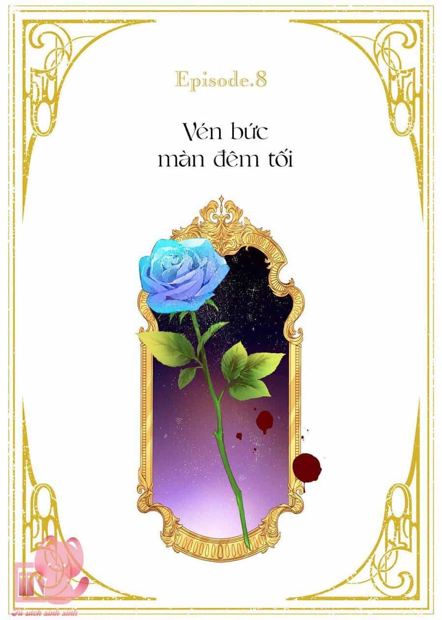 Hoa Hồng Ẩn Giấu Sao Băng - Chương 8 - ảnh 5
