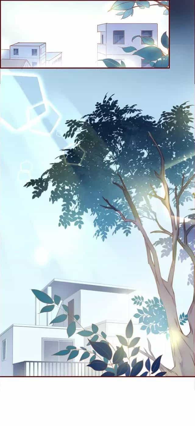 Hoa Hồng Trên Gai - Chương 7 - ảnh 5