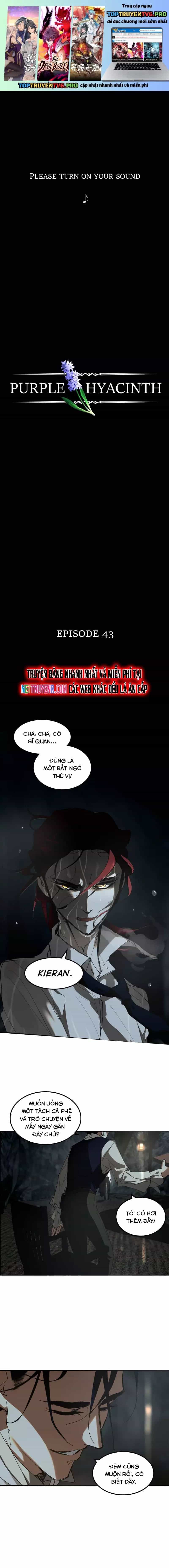 Hoa Lục Bình Tím - Chương 43 - ảnh 2