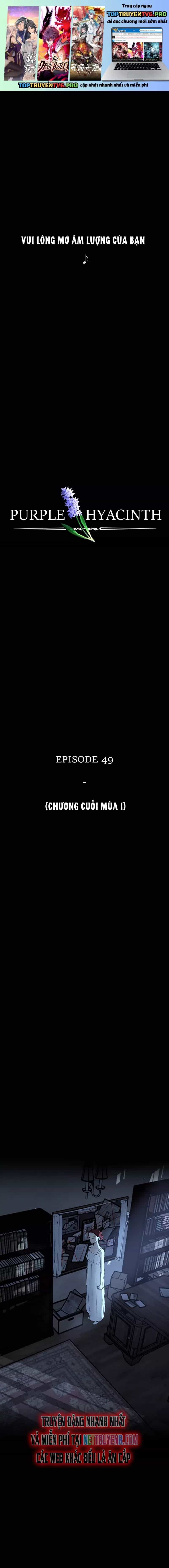 Hoa Lục Bình Tím - Chương 49 - ảnh 2