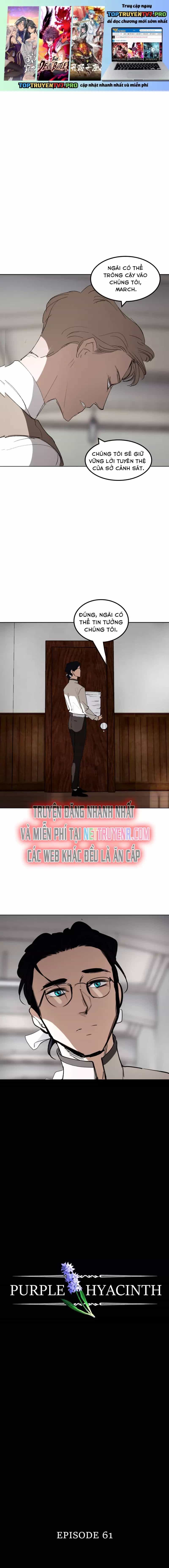 Hoa Lục Bình Tím - Chương 61 - ảnh 2