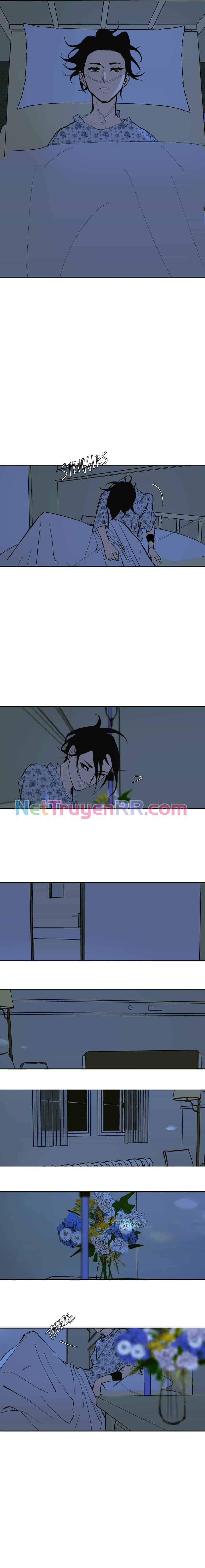Hoa Lục Bình Tím - Chương 139.1 - ảnh 4