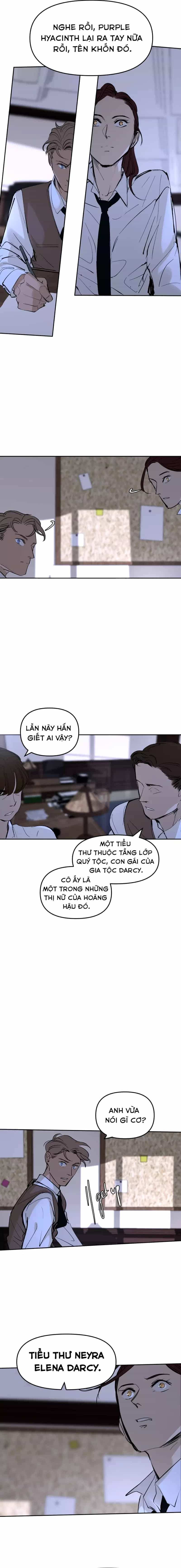 Hoa Lục Bình Tím - Chương 149.1 - ảnh 3