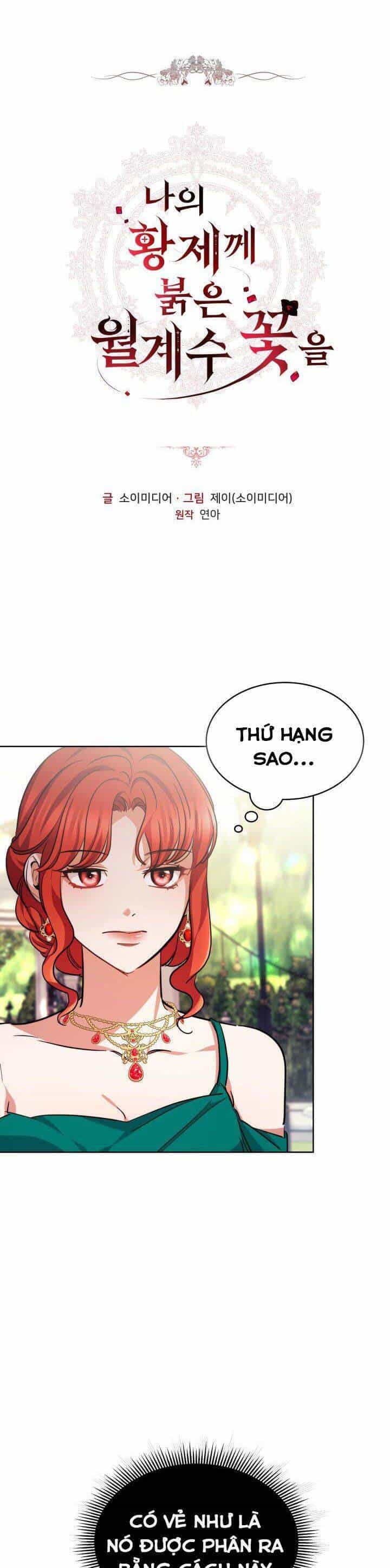 Hoa Nguyệt Quế Đỏ Tặng Hoàng Đế Của Tôi - Chương 11 - ảnh 1