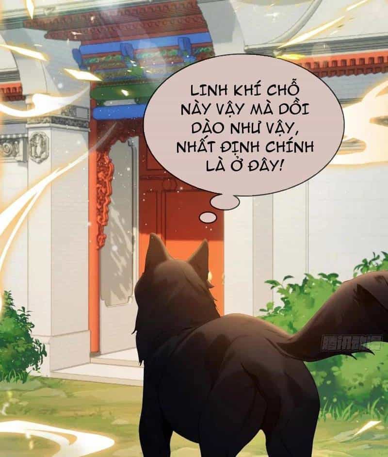 Hoá Ra Ta Đã Vô Địch Từ Lâu - Chương 179 - ảnh 12