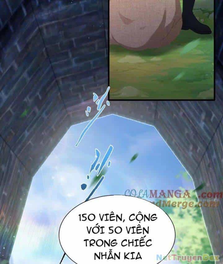 Hoá Ra Ta Đã Vô Địch Từ Lâu - Chương 223 - ảnh 42