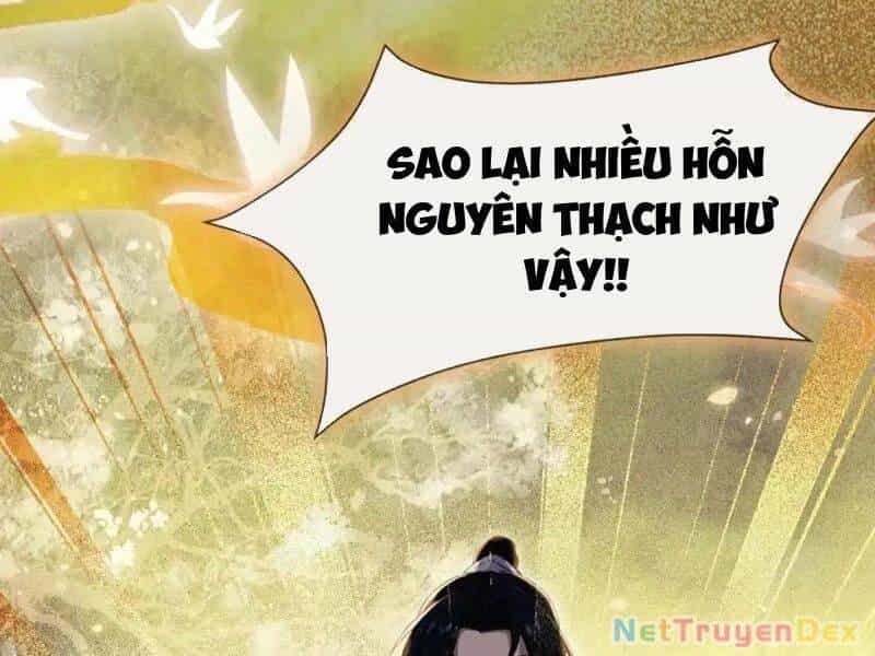 Hoá Ra Ta Đã Vô Địch Từ Lâu - Chương 225 - ảnh 11