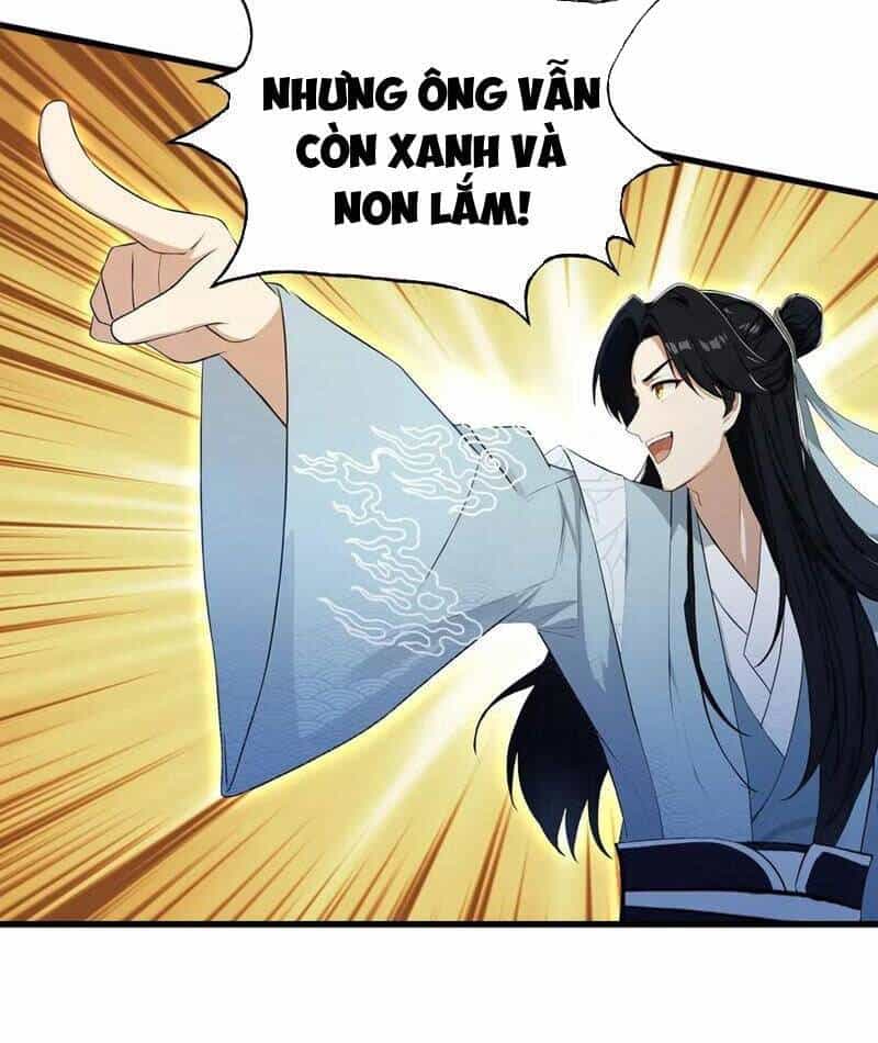 Hoá Ra Ta Đã Vô Địch Từ Lâu - Chương 243 - ảnh 48