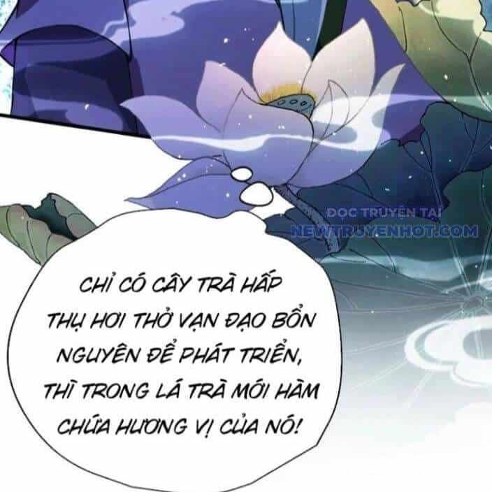 Hoá Ra Ta Đã Vô Địch Từ Lâu - Chương 249 - ảnh 93