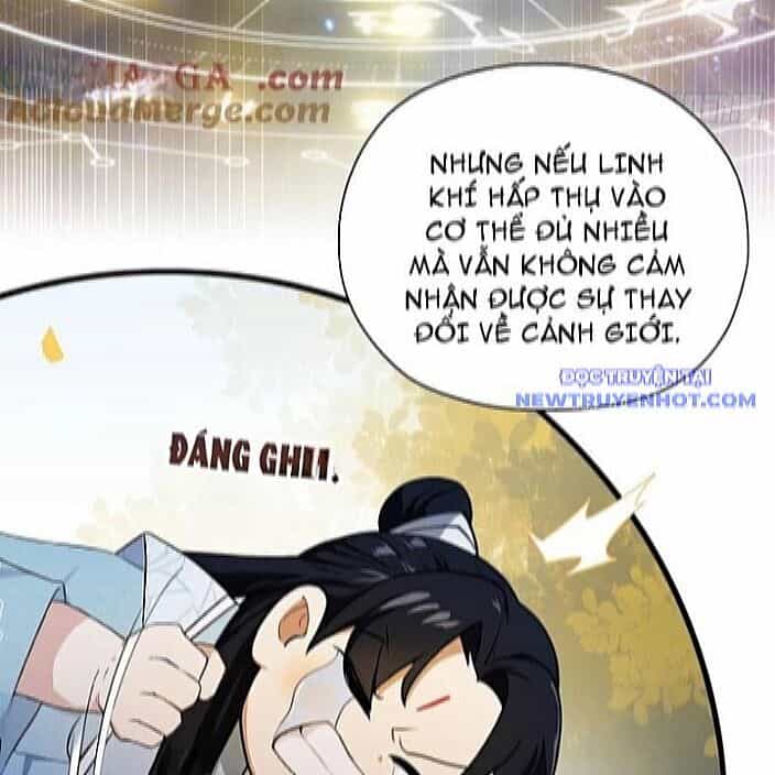 Hoá Ra Ta Đã Vô Địch Từ Lâu - Chương 254 - ảnh 74