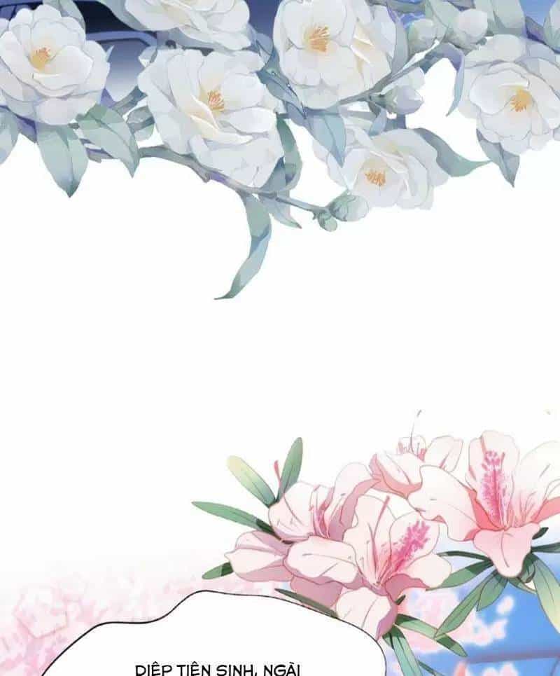 Hoá Ra Ta Đã Vô Địch Từ Lâu - Chương 28 - ảnh 20