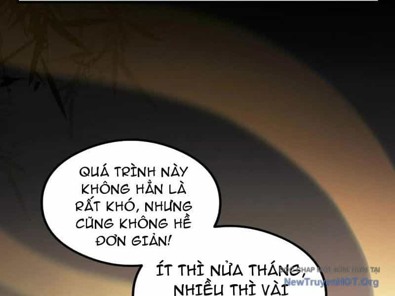 Hoá Ra Ta Đã Vô Địch Từ Lâu - Chương 317 - ảnh 29