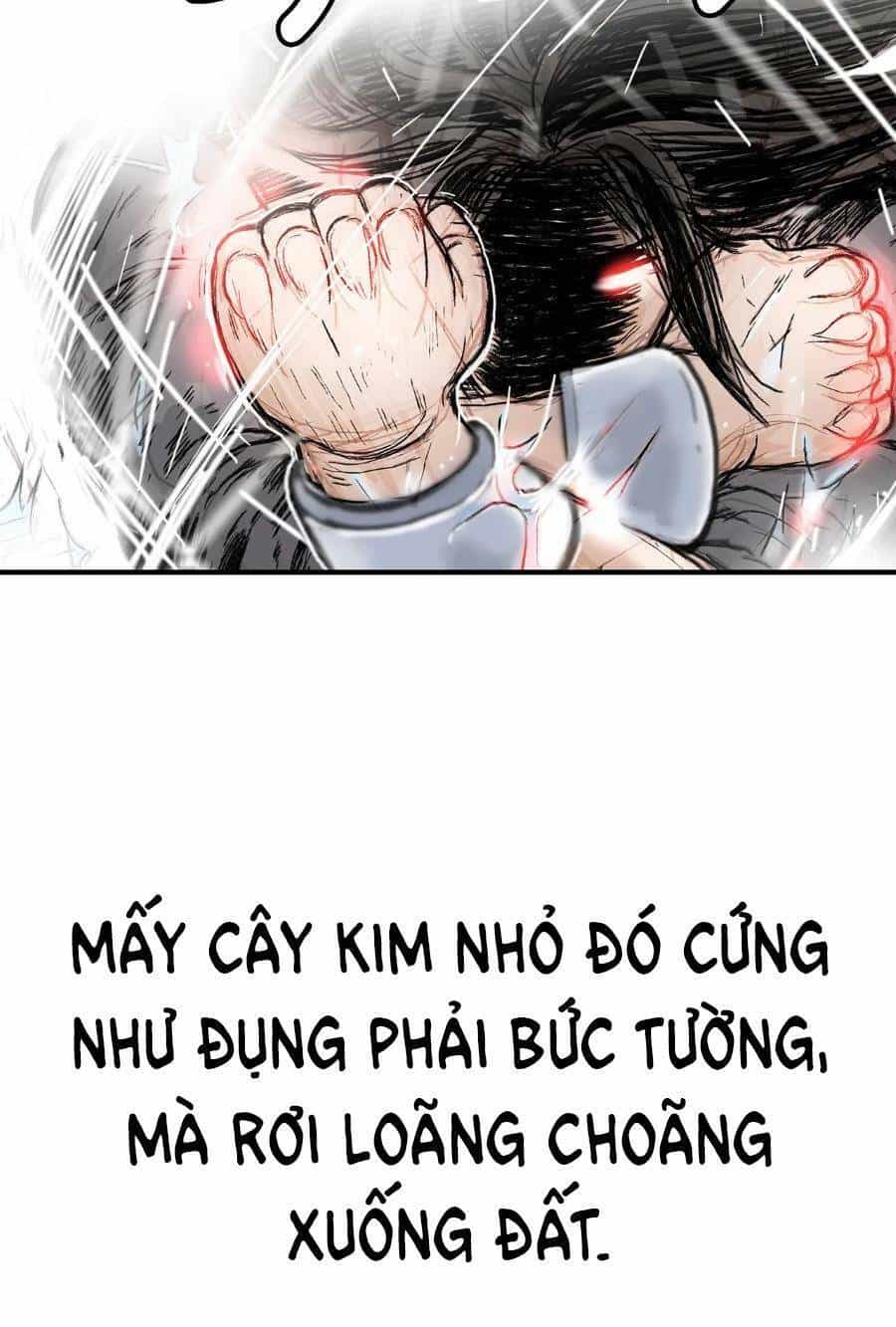 Hỏa Sơn Quyền - Chương 132 - ảnh 31