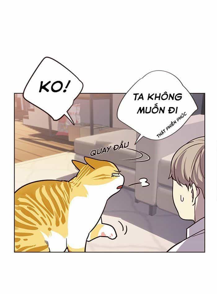 Hoá Thân Thành Mèo - Chương 10 - ảnh 30