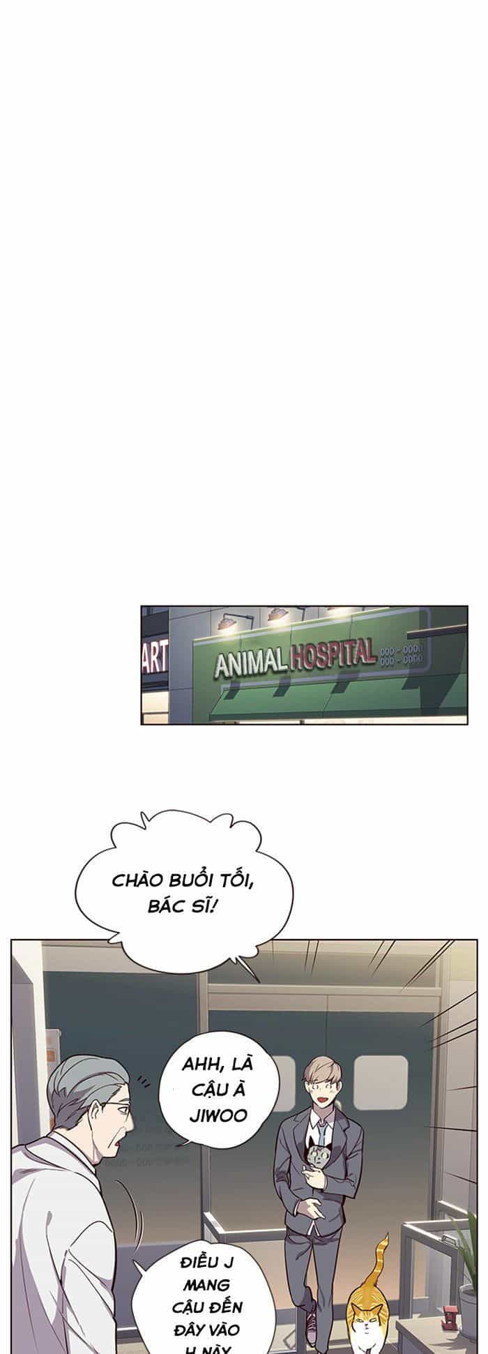 Hoá Thân Thành Mèo - Chương 10 - ảnh 41