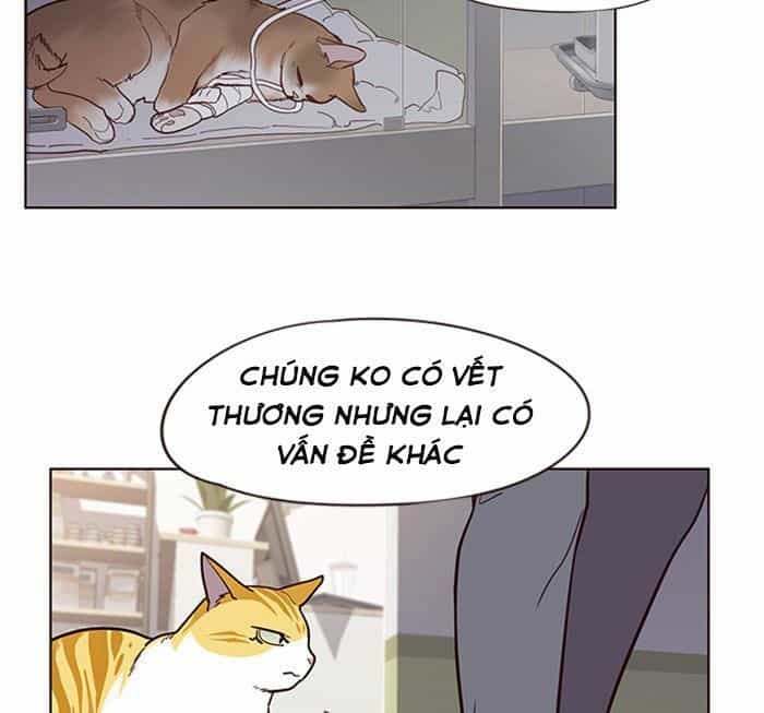Hoá Thân Thành Mèo - Chương 10 - ảnh 48