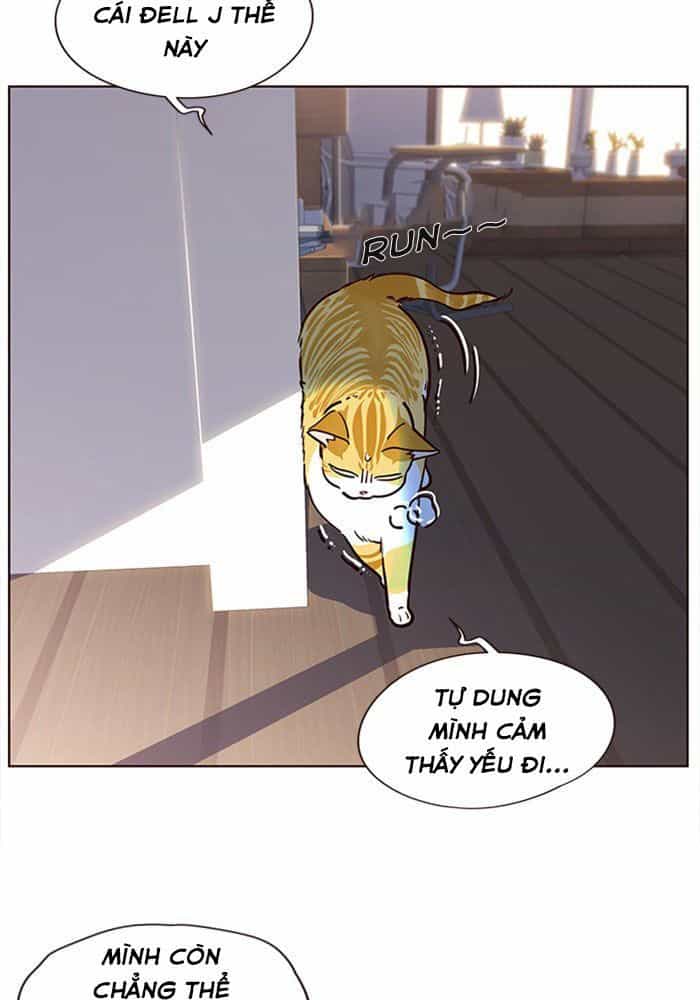 Hoá Thân Thành Mèo - Chương 11 - ảnh 30