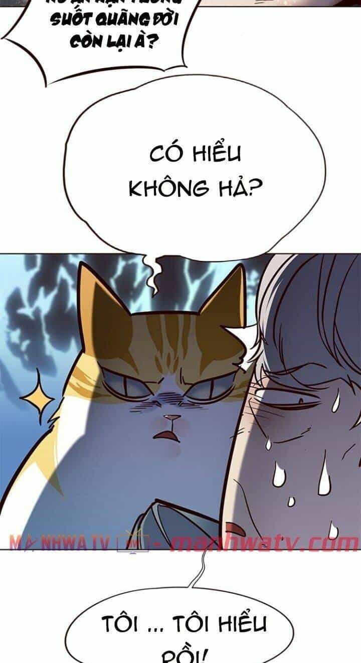 Hoá Thân Thành Mèo - Chương 112 - ảnh 67