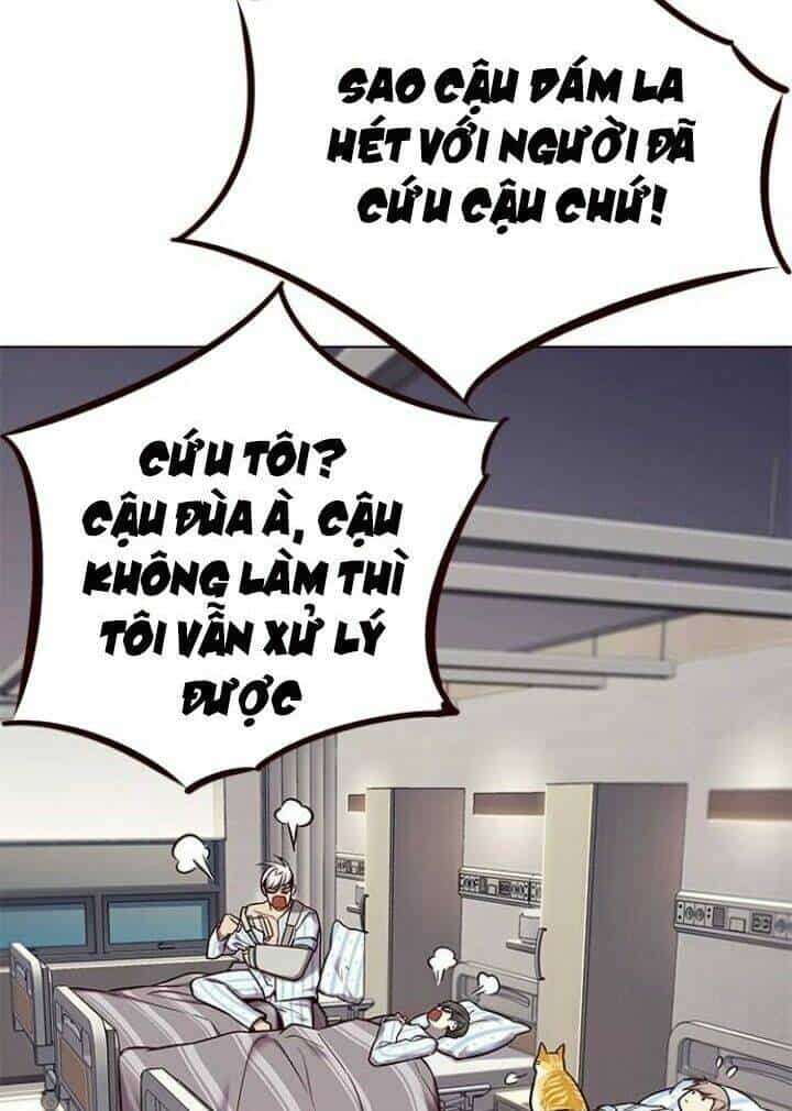Hoá Thân Thành Mèo - Chương 113 - ảnh 27