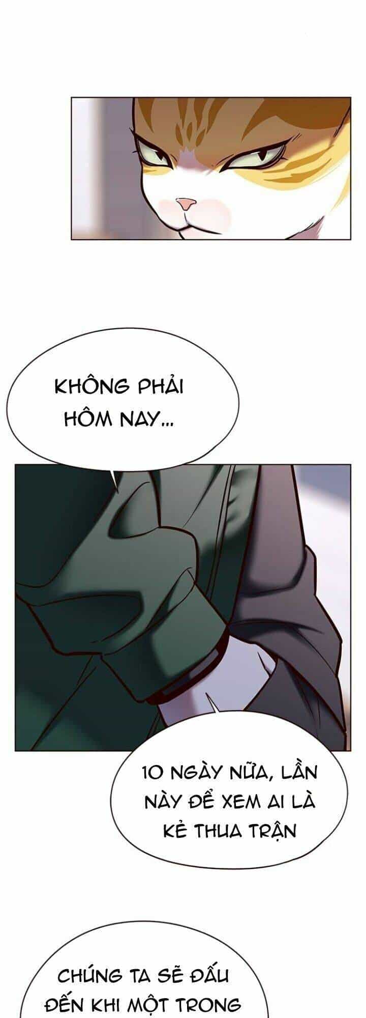 Hoá Thân Thành Mèo - Chương 117 - ảnh 15
