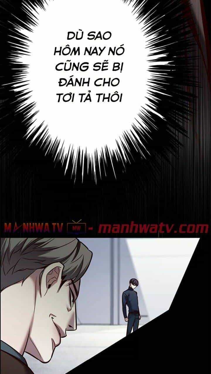 Hoá Thân Thành Mèo - Chương 119 - ảnh 34