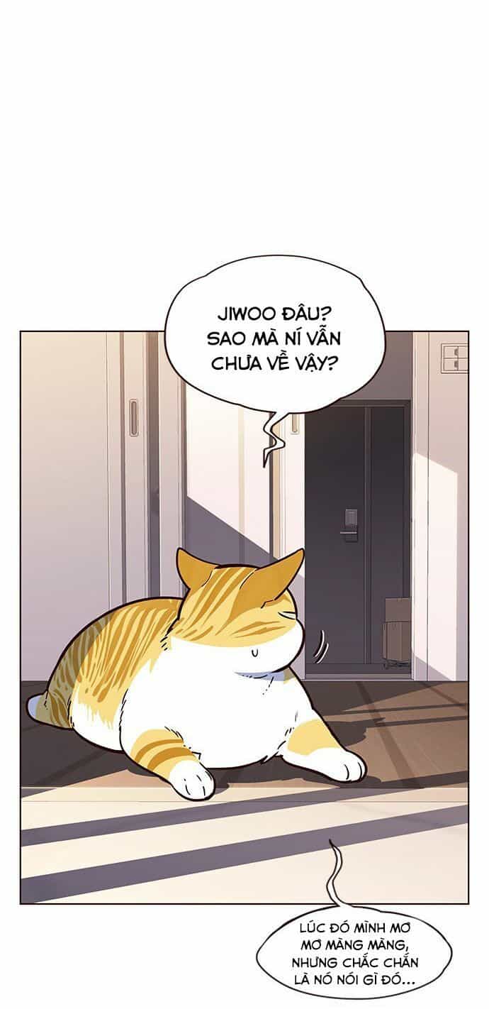 Hoá Thân Thành Mèo - Chương 12 - ảnh 49