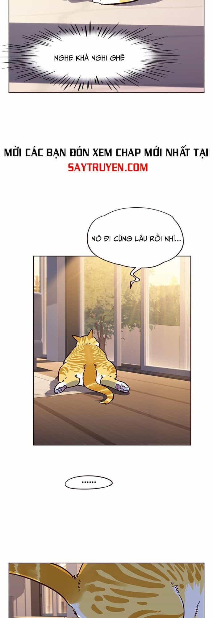 Hoá Thân Thành Mèo - Chương 12 - ảnh 51