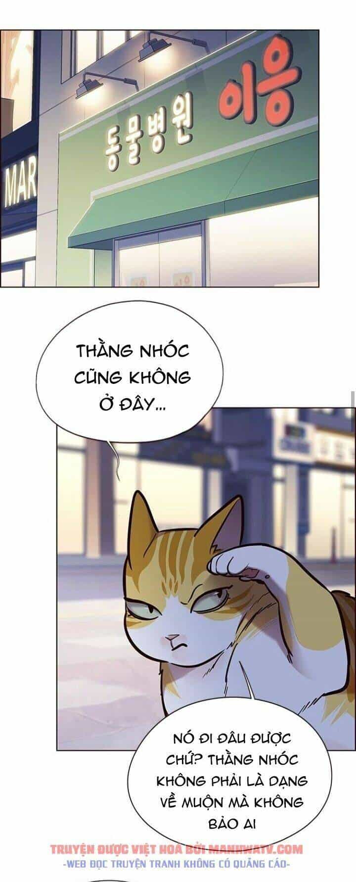 Hoá Thân Thành Mèo - Chương 125 - ảnh 65