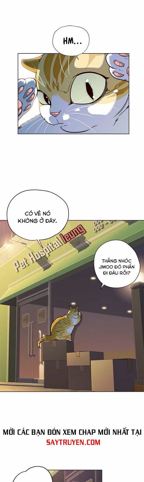 Hoá Thân Thành Mèo - Chương 13 - ảnh 3