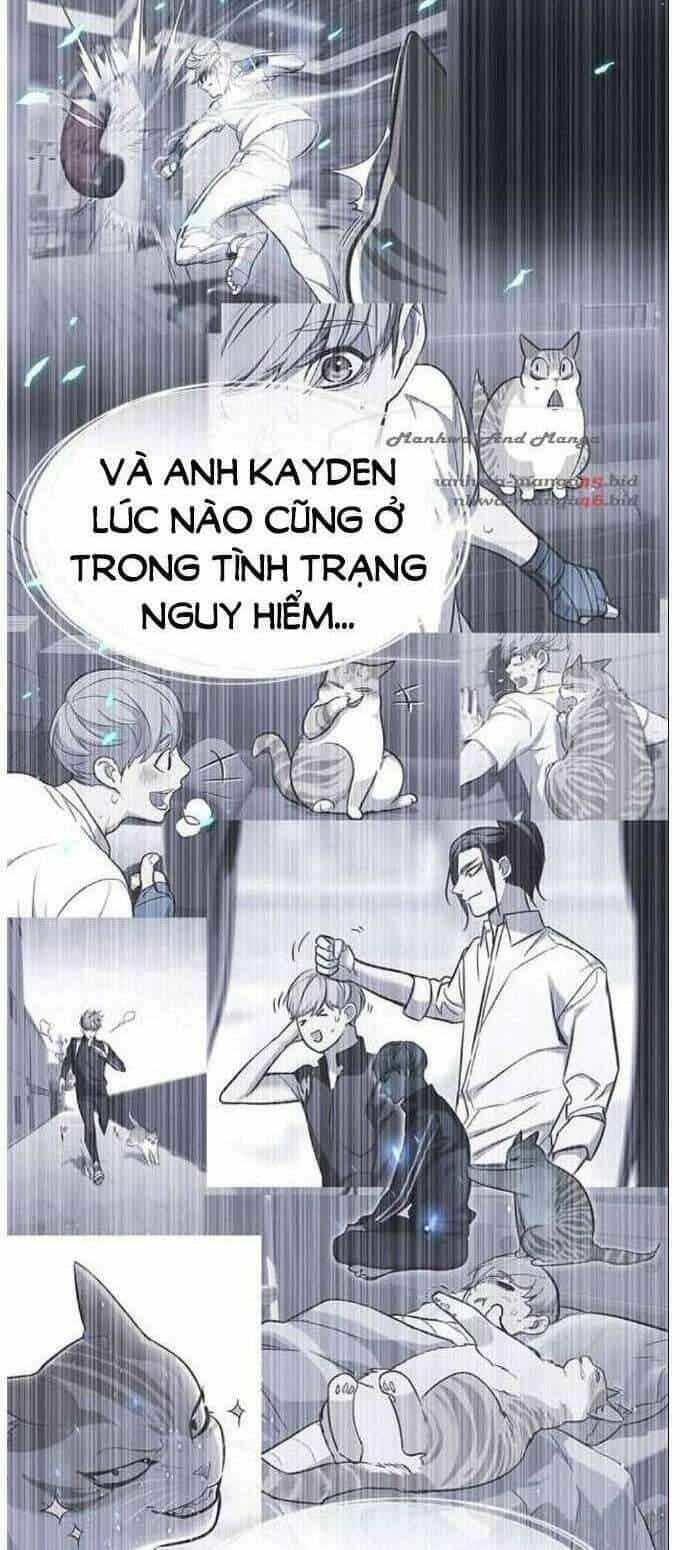 Hoá Thân Thành Mèo - Chương 137 - ảnh 16