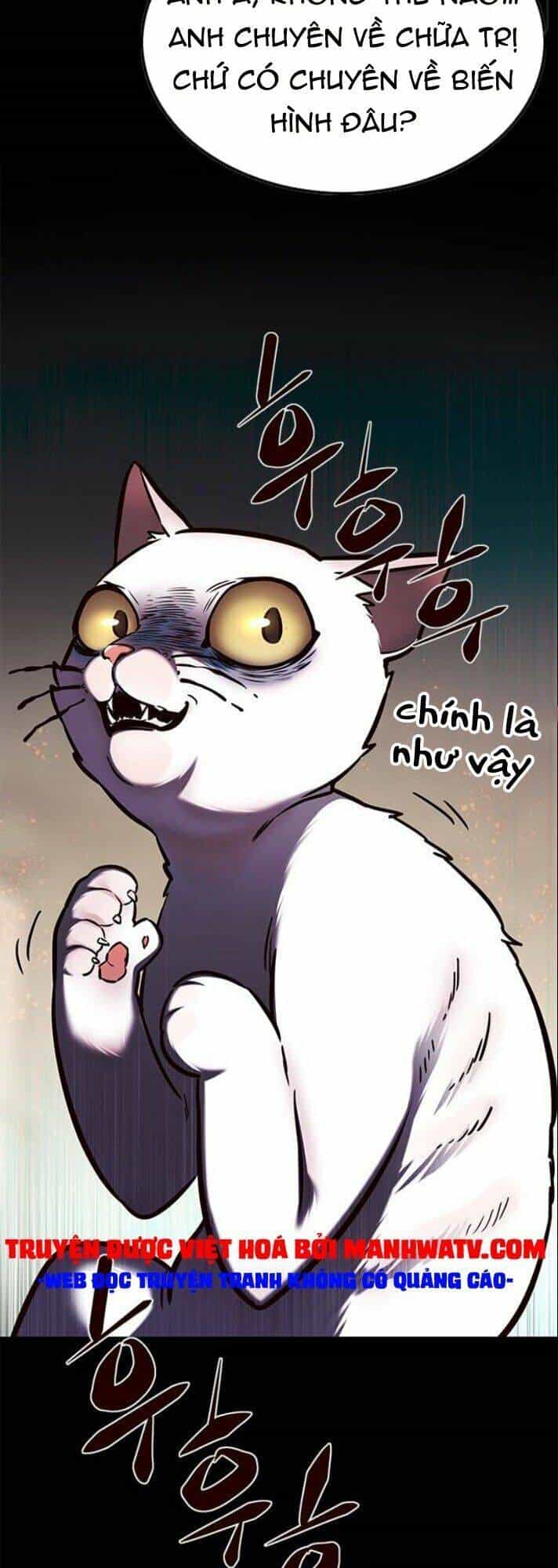 Hoá Thân Thành Mèo - Chương 142 - ảnh 12