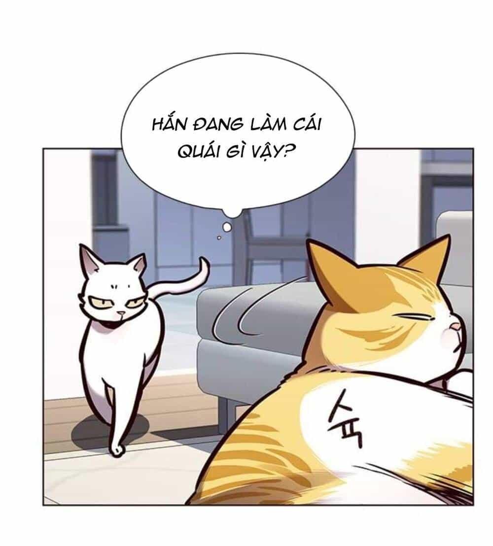 Hoá Thân Thành Mèo - Chương 144 - ảnh 15