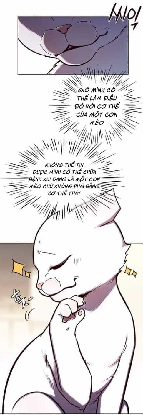 Hoá Thân Thành Mèo - Chương 144 - ảnh 5