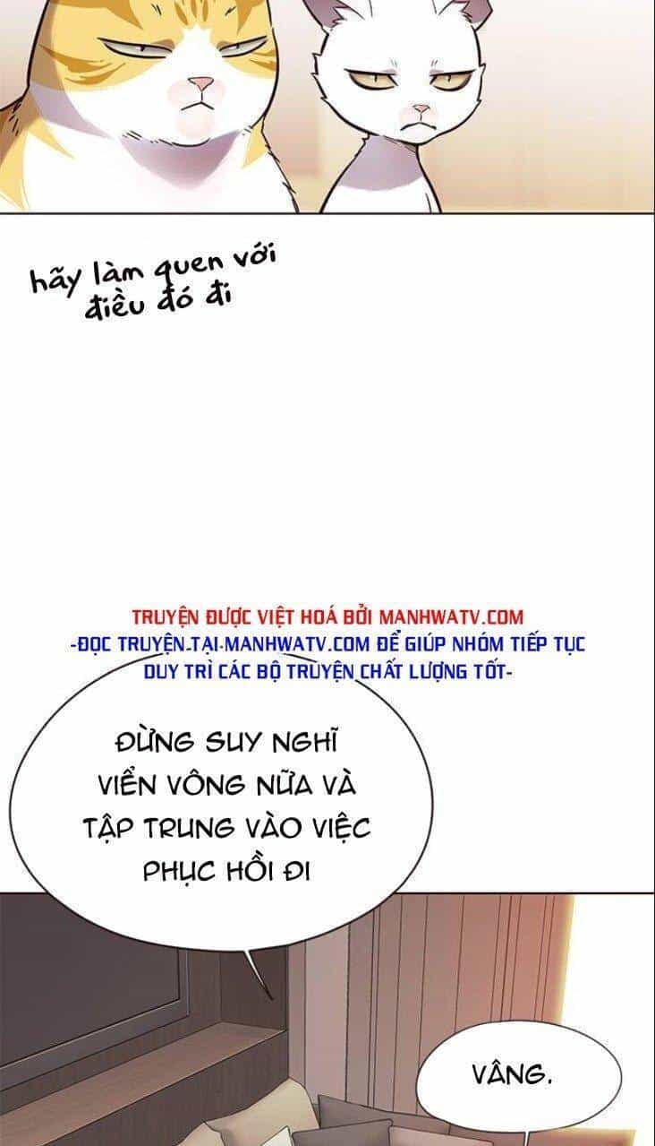 Hoá Thân Thành Mèo - Chương 146 - ảnh 53