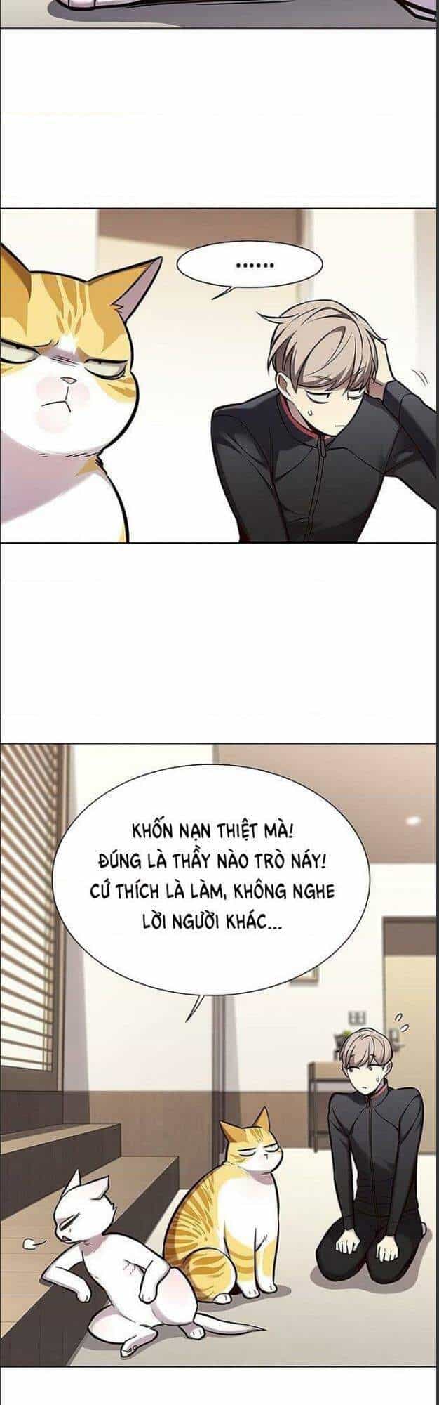 Hoá Thân Thành Mèo - Chương 156 - ảnh 5