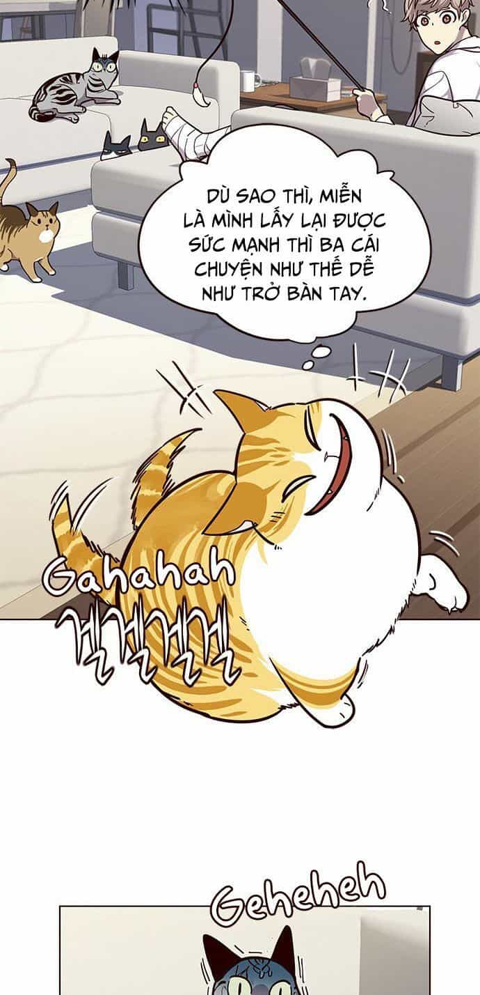 Hoá Thân Thành Mèo - Chương 16 - ảnh 16