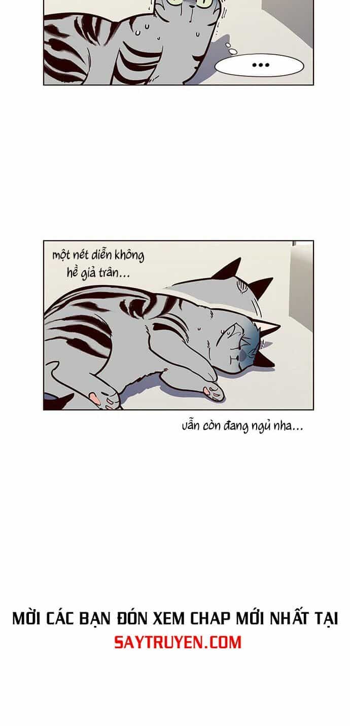 Hoá Thân Thành Mèo - Chương 16 - ảnh 17